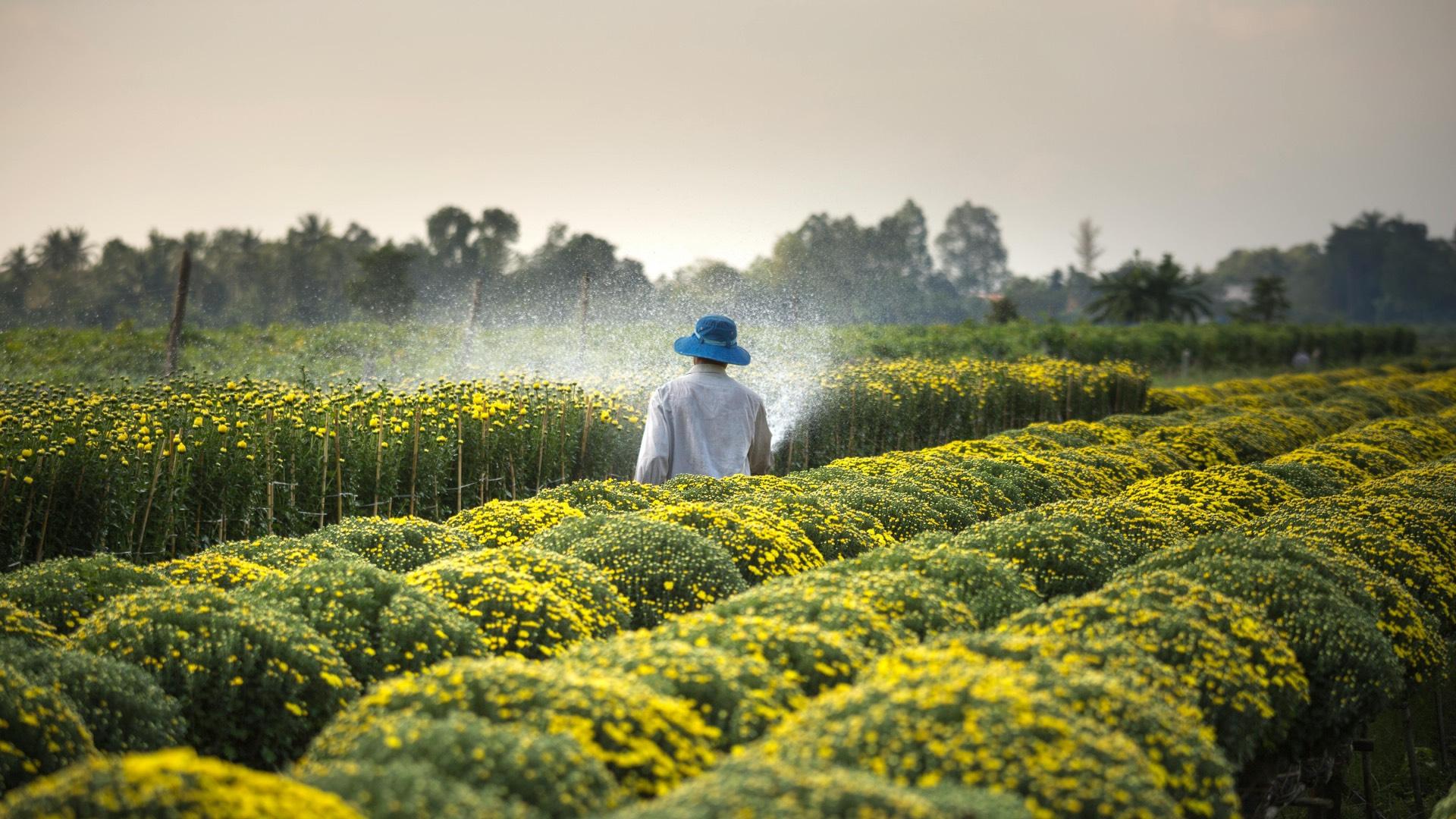 Growing food, cultivating hope