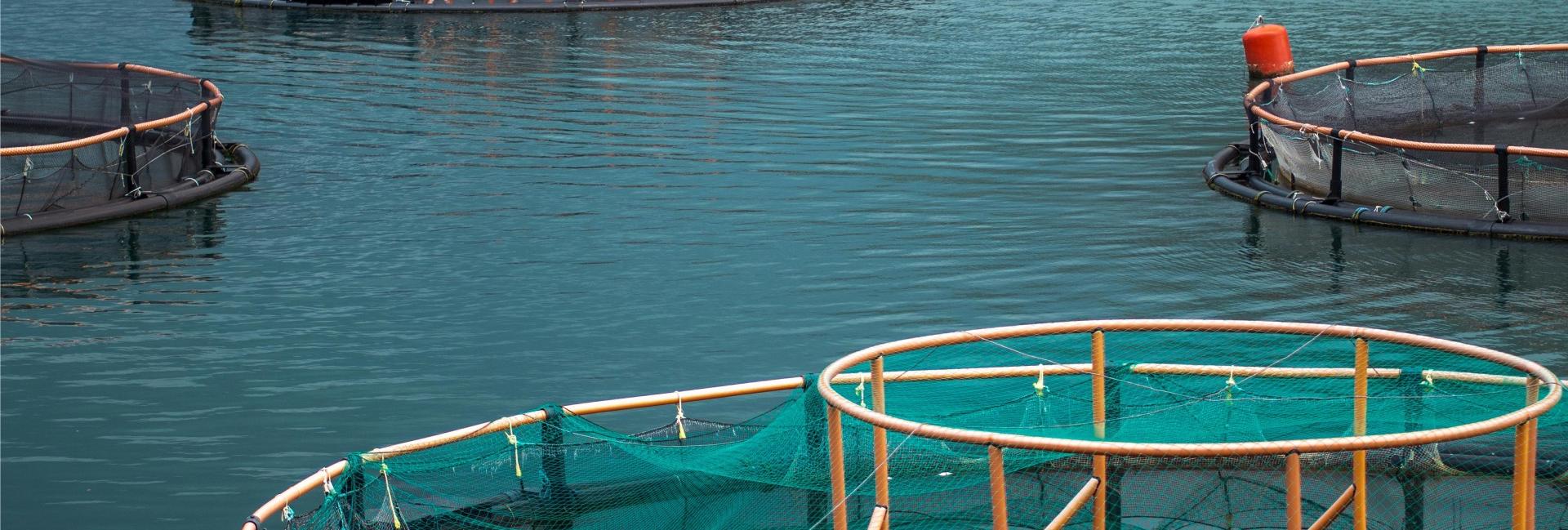 Fishery